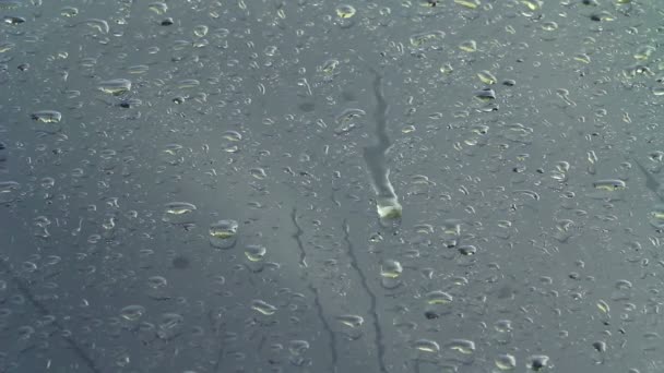 Gotas de chuva em vidro — Vídeo de Stock