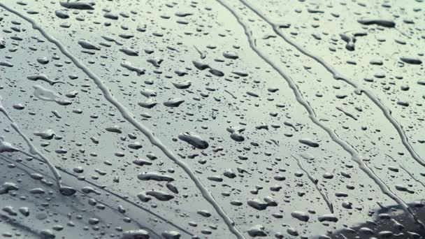 Drops Of Rain On Glass — Stock Video