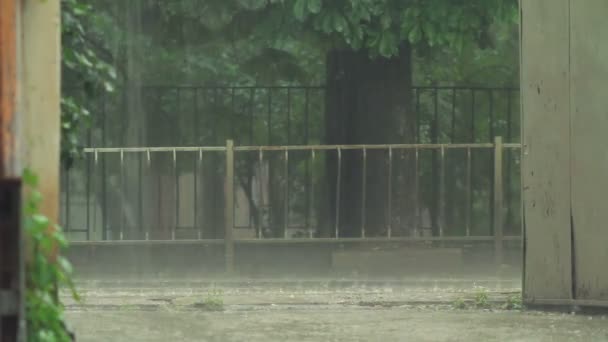 City trafik i kraftigt regn — Stockvideo