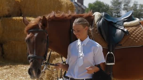 Caballo y jinete — Vídeo de stock