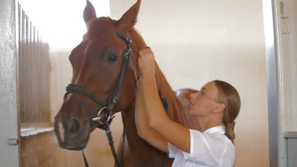 Caballo entrenamiento deportivo — Vídeos de Stock