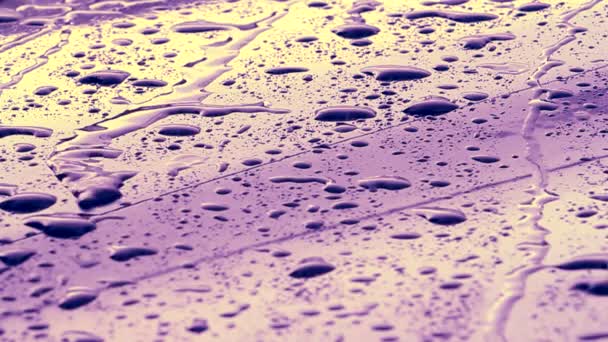 Purple Drop Background — Stock Video