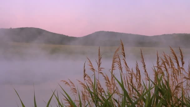 Mlha nad jezerem — Stock video