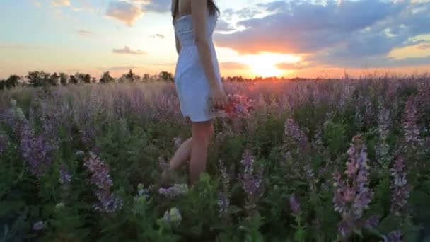 Young attractive woman in the flower meadow — Stock Video