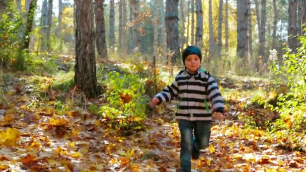 Familie wandelen in herfst woud — Stockvideo