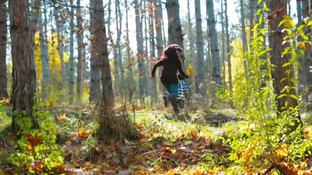 Madre e hijo en el bosque — Vídeos de Stock