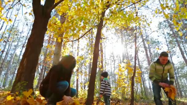 Familjen promenader i höst skog — Stockvideo