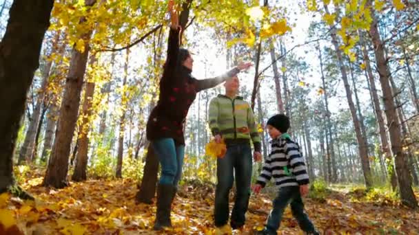 Caminata familiar en bosque de otoño — Vídeo de stock