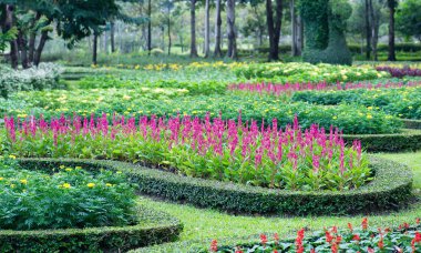 Parklar renkli çiçek