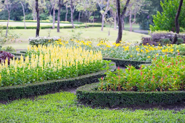 Parks Colourful Flowerbeds — Stock Photo, Image