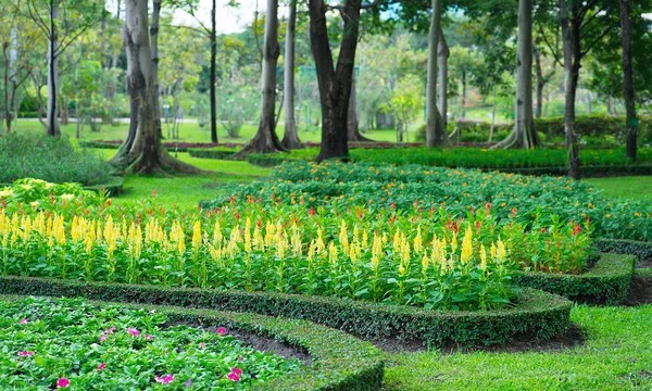 Parks bunte Blumenbeete — Stockfoto