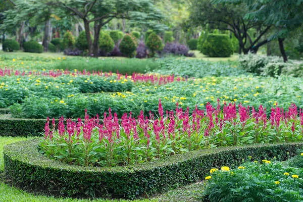 Parcs Lits de fleurs colorés — Photo