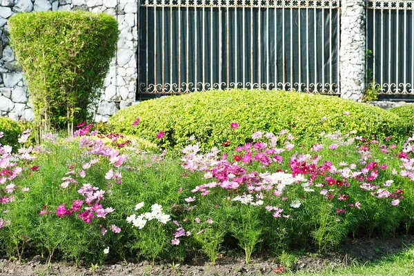 Parken kleurrijke bloembedden — Stockfoto