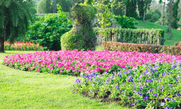 Parks bunte Blumenbeete — Stockfoto