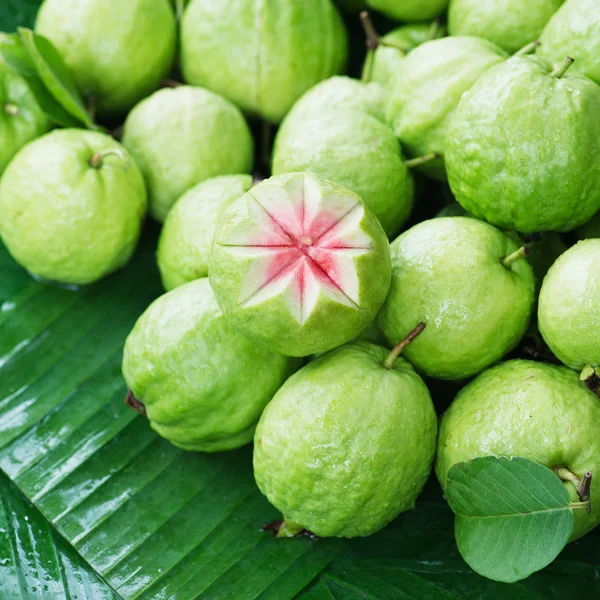 pembe guava