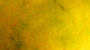  4K Macro portakal suyu. Beyaz arka planda izole edilmiş taze turuncu turuncuları kapat.