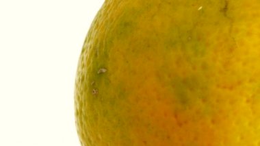  4K Macro portakal suyu. Beyaz arka planda izole edilmiş taze turuncu turuncuları kapat.