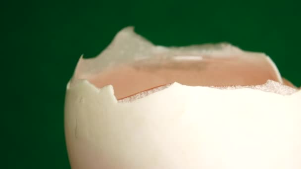 Duck Egg Rotates Green Background Close Egg — Stock Video