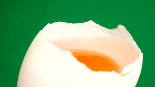 4Kアヒルの卵はCgの緑の背景で回転します卵のクローズアップ — ストック動画