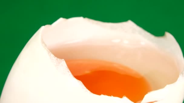 Huevo Pato Gira Sobre Fondo Verde Primer Plano Huevo — Vídeo de stock
