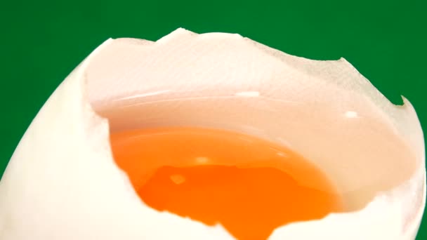 Duck Egg Rotates Green Background Close Egg — Stock Video