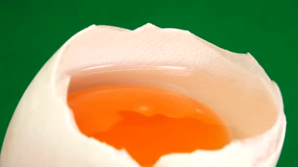 Kacze Jajo Obraca Się Zielonym Tle Zbliżenie Jajka — Wideo stockowe