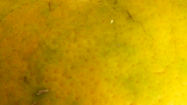 4K大杯橙子和橙子 关闭新鲜柑橘 在白色背景下分离 — 图库视频影像