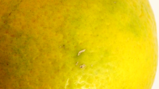 Makro Shot Orange Fruit Rotate Close Świeże Pomarańcze Cytrusowe Izolowane — Wideo stockowe