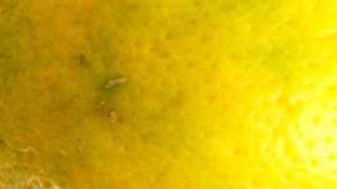  4K Macro portakal suyu. Beyaz arka planda izole edilmiş taze turuncu turuncuları kapat.