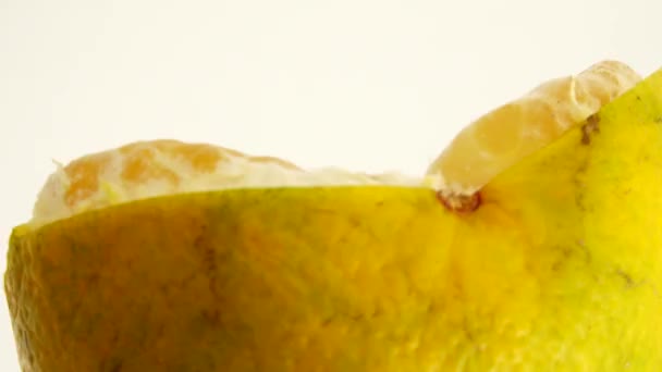 Macro Shot Fruits Orange Tourner Fermer Orange Agrumes Frais Isolé — Video