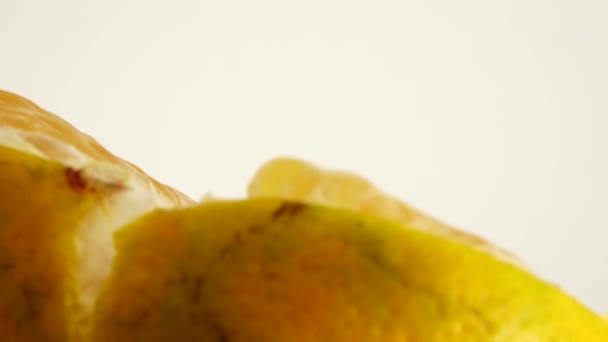 Macro Shot Fruits Orange Tourner Fermer Orange Agrumes Frais Isolé — Video