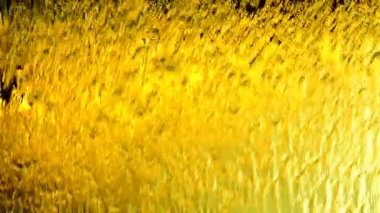 HD 1080 super slow 250fps water curtain close up water abstract background.