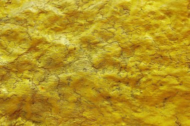 Altın sarısı doku ve siyah nokta