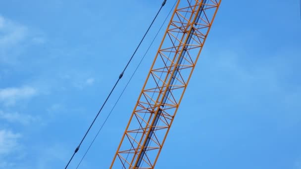 Large Construction Site Several Busy Cranes Dusk Clear Blue Sky — Stock Video