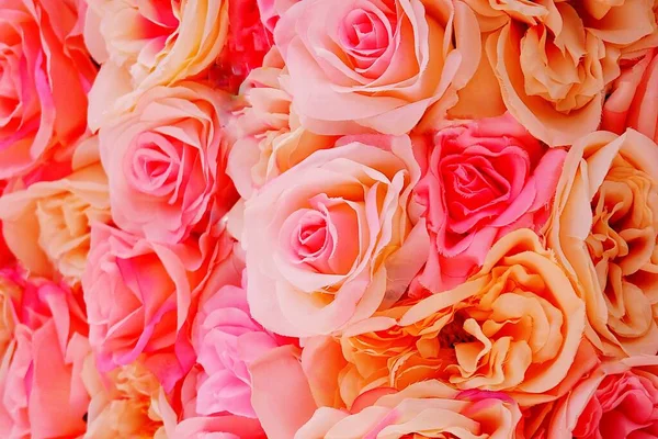 愛の日ピンクが背景にバラ — ストック写真