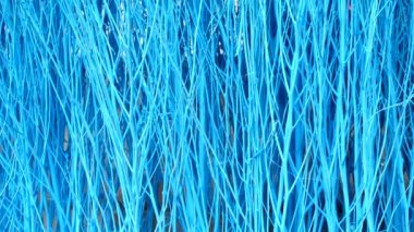 4K Colorful stained stalks dyed wood lavender fields decorations, coffee shops cafes houses texture and blackground