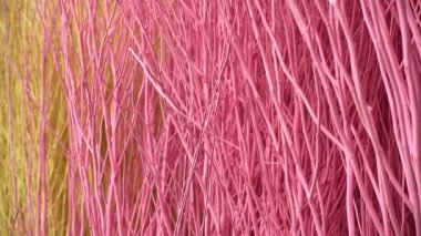 4K Colorful stained stalks dyed wood lavender fields decorations, coffee shops cafes houses texture and blackground