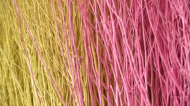 Colorful Stained Stalks Dyed Wood Lavender Fields Decorations Coffee Shops — Stok video