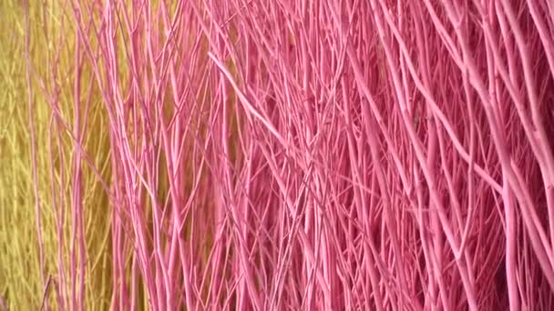 Colorful Stained Stalks Dyed Wood Lavender Fields Decorations Coffee Shops — Stockvideo