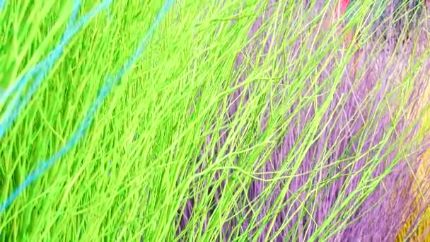 Colorful Stained Stalks Dyed Wood Lavender Fields Decorations Coffee Shops — Wideo stockowe