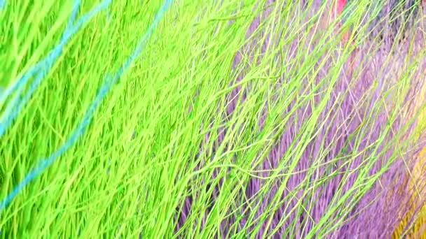 Colorful Stained Stalks Dyed Wood Lavender Fields Decorations Coffee Shops — Stok video