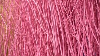 4K Colorful stained stalks dyed wood lavender fields decorations, coffee shops cafes houses texture and blackground