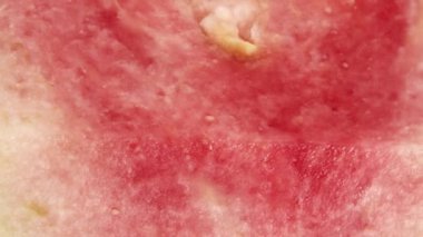 4K makro organik dilimlenmiş guava döner levhayı kapat siyah arkaplanda izole edilmiş.