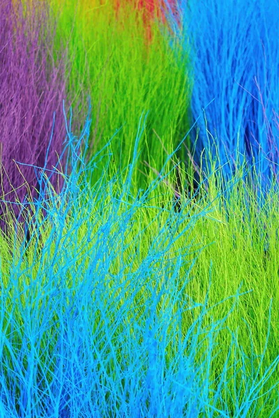 Colorful Stained Stalks Dyed Wood Lavender Fields Decorations Coffee Shops — Zdjęcie stockowe