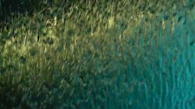 HD 1080p 250 fps akşam yemeği yavaş su perdesi soyut, arkaplan