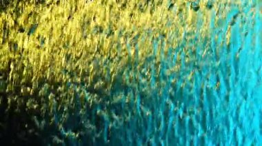 HD 1080p 250 fps akşam yemeği yavaş su perdesi soyut, arkaplan