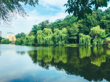 Sakin nehrin yanındaki muhteşem yaz manzarası. Güneşli, sıcak bir günde, yeşil zümrüt yeşiliyle nehirde söğütler süzülüyor.
