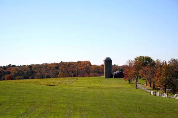 Land Höstlandskap — Stockfoto