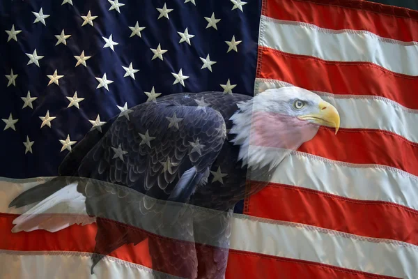 Amerikan kartalı bayrağı — Stok fotoğraf