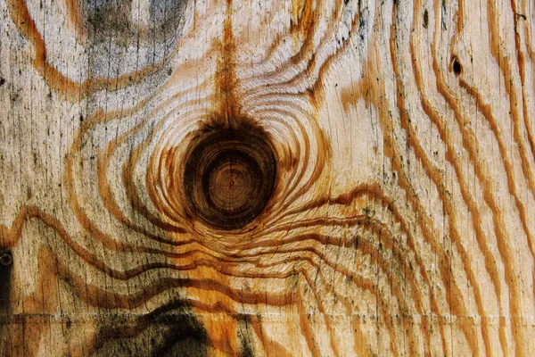 Вузлом деревини фон — стокове фото